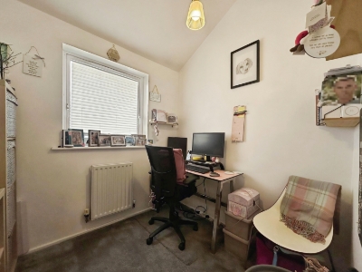 Picture 11